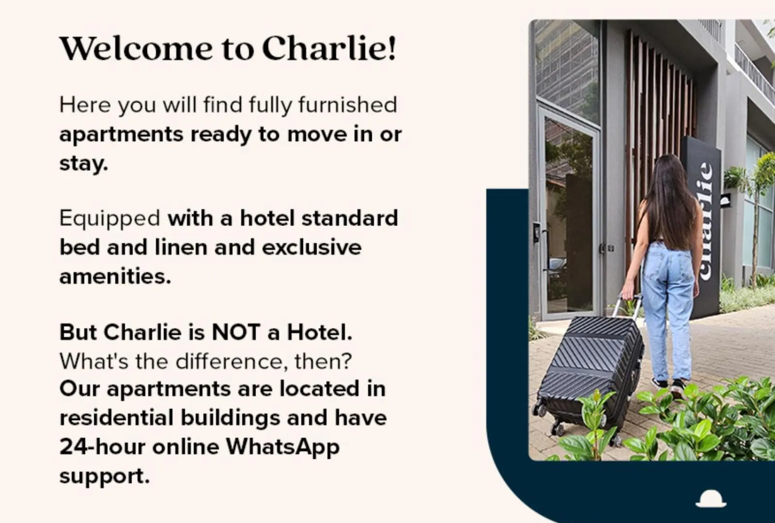Charlie Contemporaneo Jardins Apartment Sao Paulo